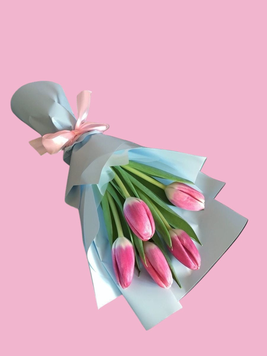 5 Tulipanes